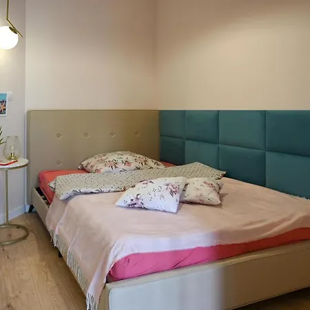 Shark Kingdom * 卡托维兹