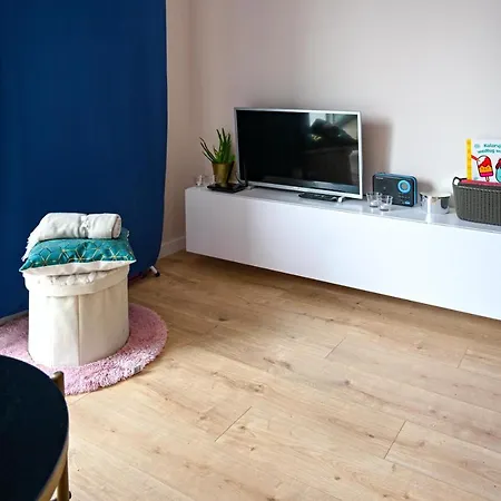 Shark Kingdom * 卡托维兹