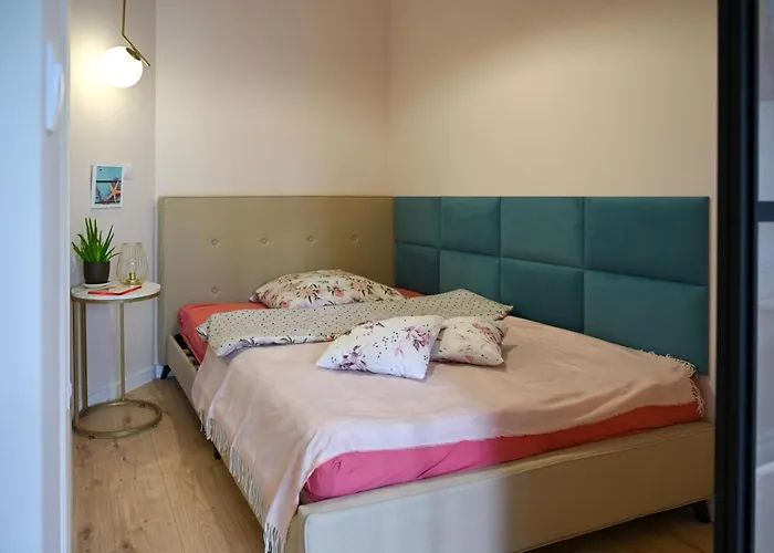 Shark Kingdom * Kattowitz